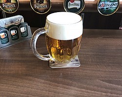 Restaurace U Zp�v��k�